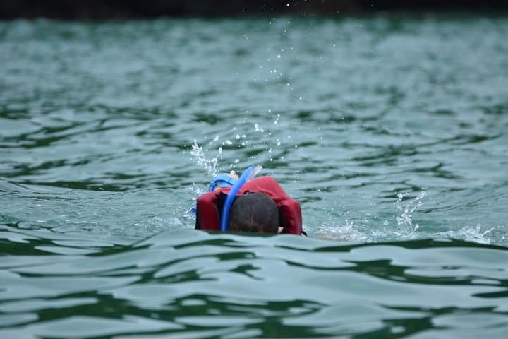 Manuel Antonio Kayak and Snorkel Half-Day: Paddle to Biesanz Bay photo 4