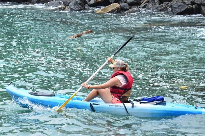 Manuel Antonio Kayak and Snorkel Half-Day: Paddle to Biesanz Bay photo 6