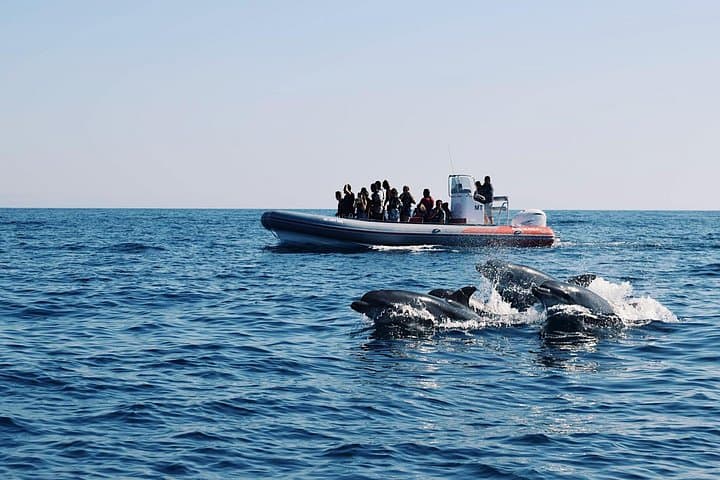 Dolphins and Benagil Caves: 2.5-Hour Semi-Rigid Boat Tour from Albufeira photo 2