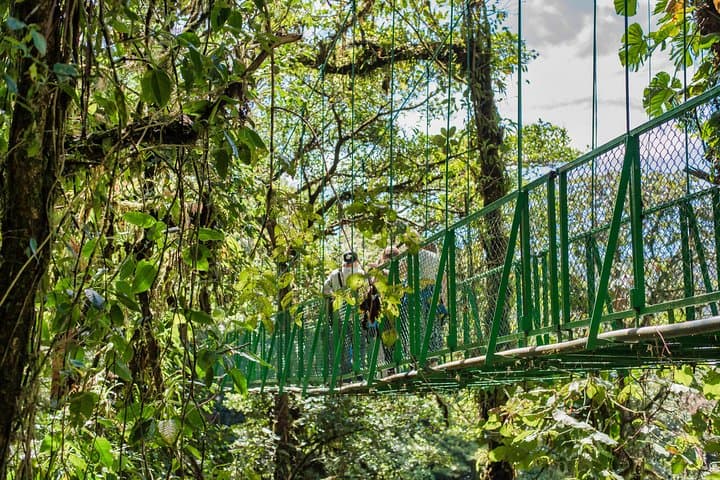 Selvatura Hanging Bridges: Cloud-Forest Canopy Walk from Monteverde photo 6