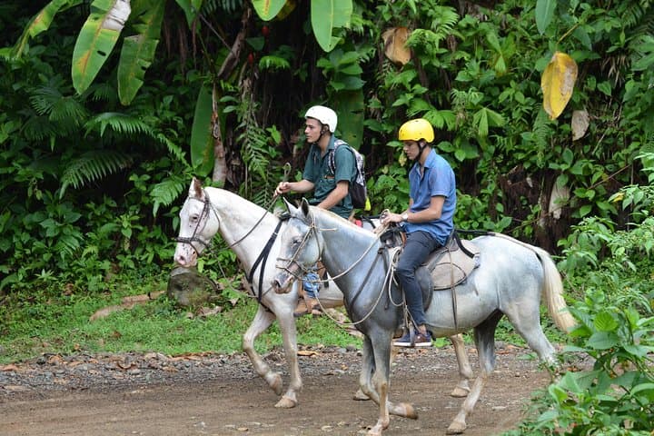 Manuel Antonio Horseback Riding Tour: Rainforest Trails to a Waterfall photo 4