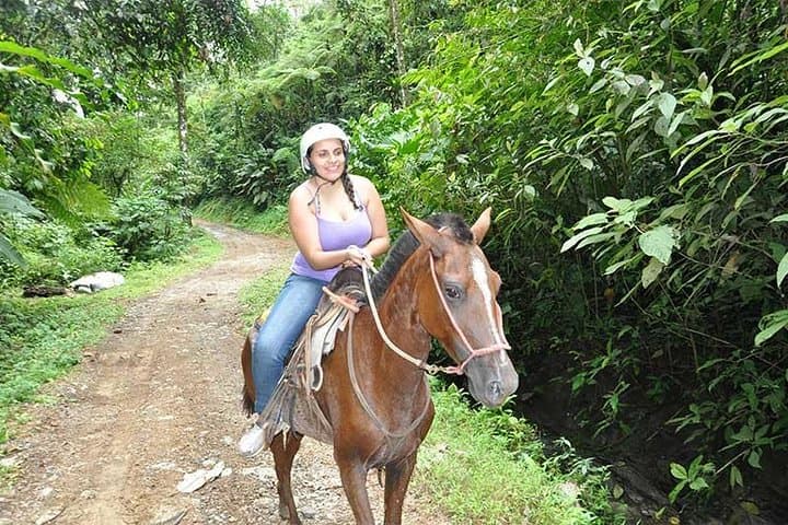 Manuel Antonio Horseback Riding Tour: Rainforest Trails to a Waterfall photo 5
