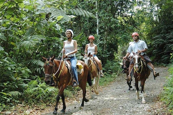 Manuel Antonio Horseback Riding Tour: Rainforest Trails to a Waterfall photo 6