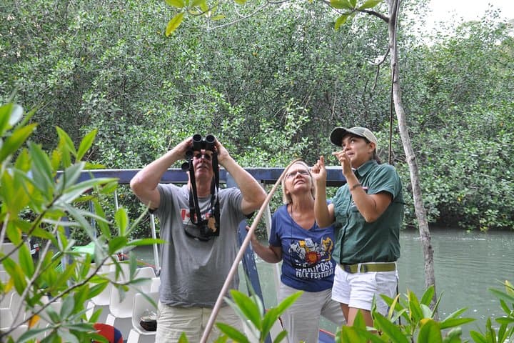 Damas Island Mangrove Boat Tour — Wildlife & Birding from Manuel Antonio photo 3