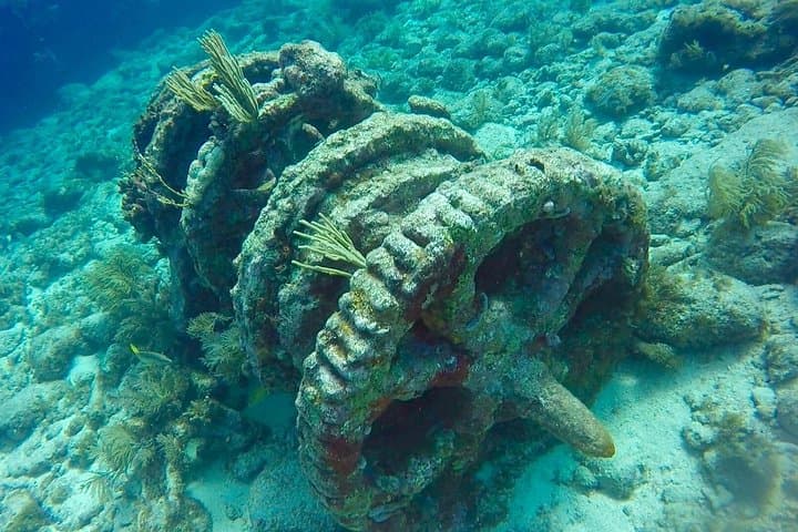 Half-Day Scuba Diving in the Florida Keys: Pennekamp & Sanctuary Reefs photo 3