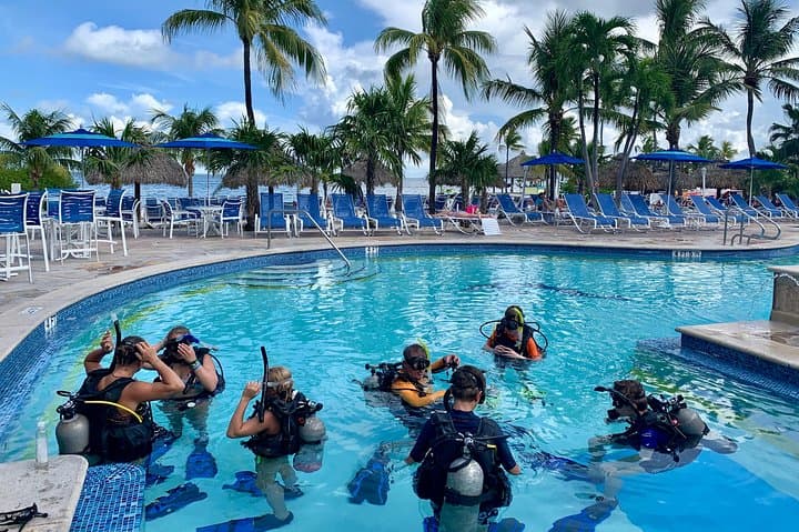 Half-Day Scuba Diving in the Florida Keys: Pennekamp & Sanctuary Reefs photo 4