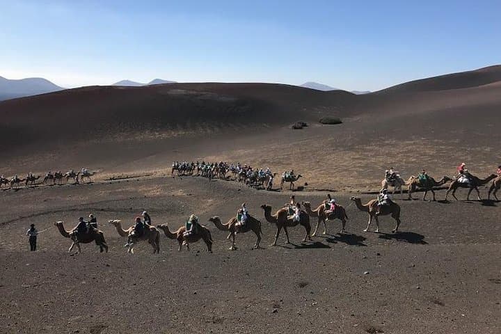 Timanfaya & Lanzarote Volcano Experience – Timanfaya National Park Day Tour photo 3