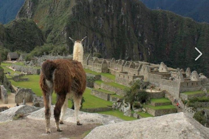 Explore Ingapirca: Full-Day Tour to Ecuador's Largest Inca Ruins from Cuenca photo 5