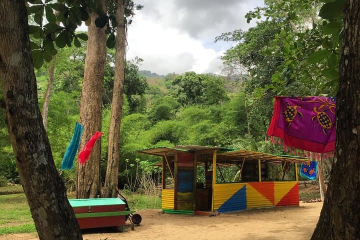 German-Speaking Tobago Island Tour: Forts, Beaches & Local Lunch photo 6