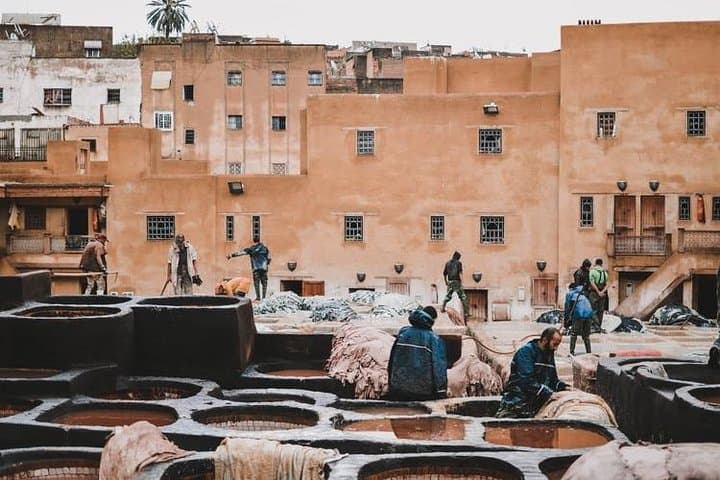 Explore Fez Medina with a Private Driver and Historian