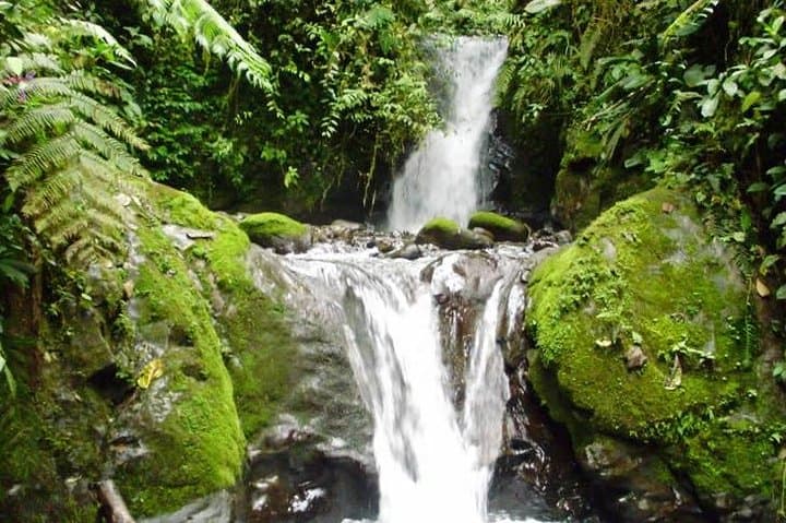 Mindo Cloud-Forest Quick Trip: Birding, Waterfalls & Local Flavors photo 3