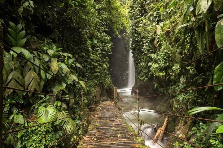 Mindo Cloud-Forest Quick Trip: Birding, Waterfalls & Local Flavors photo 6