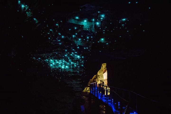 Ruakuri Cave Guided Tour: Waitomo Glowworms, Stalactites & Underground Rivers photo 3