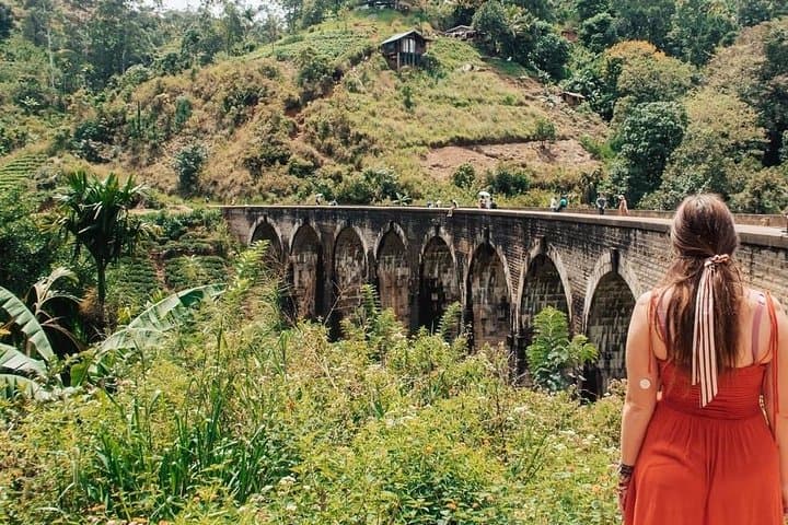 Sri Lanka in 7 Days: Cultural Triangle, Tea Country & Coastal Wildlife photo 6