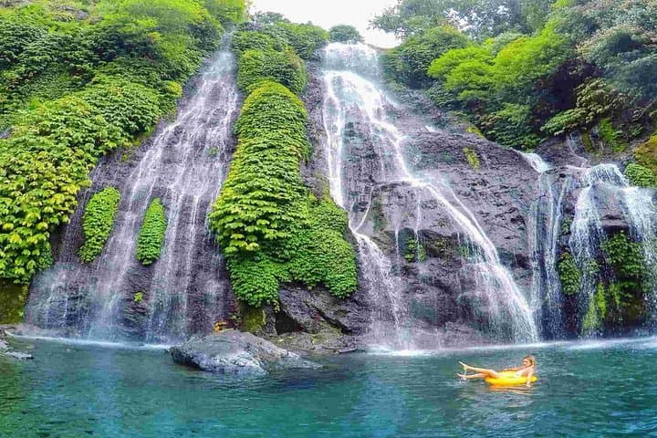 Sunrise Dolphins and North Bali Highlights: Lovina to Bedugul Private Tour photo 4