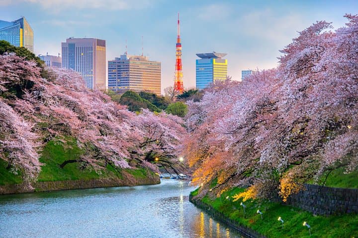 Electric Bicycle Tour: Asakusa, Ueno & Edo‑Tokyo Museum — Half‑Day Guided Ride in Tokyo photo 4