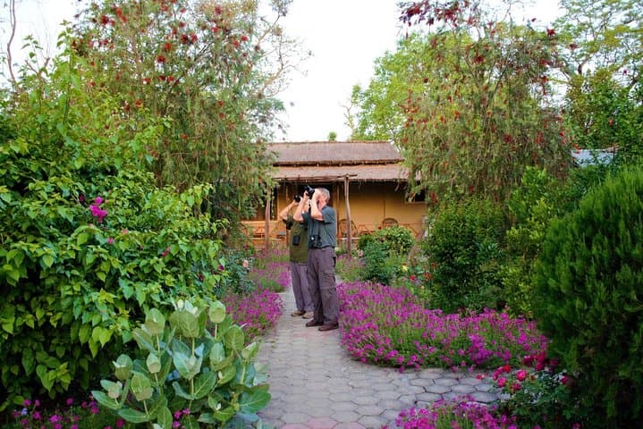 Nepal Birding Holidays: Himalayan Birds & Valley Walks
