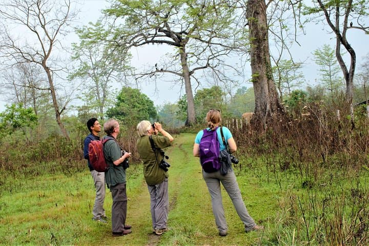 Nepal Birding Holidays: Himalayan Birds & Valley Walks photo 2