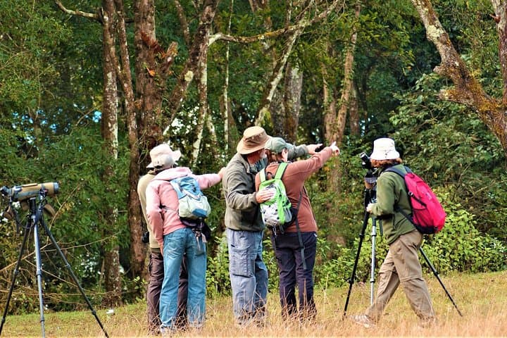 Nepal Birding Holidays: Himalayan Birds & Valley Walks photo 6