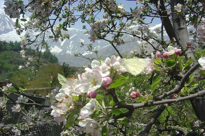 Annapurna Circuit Trek: Complete Guide to Thorong La, Muktinath & Poon Hill photo 2