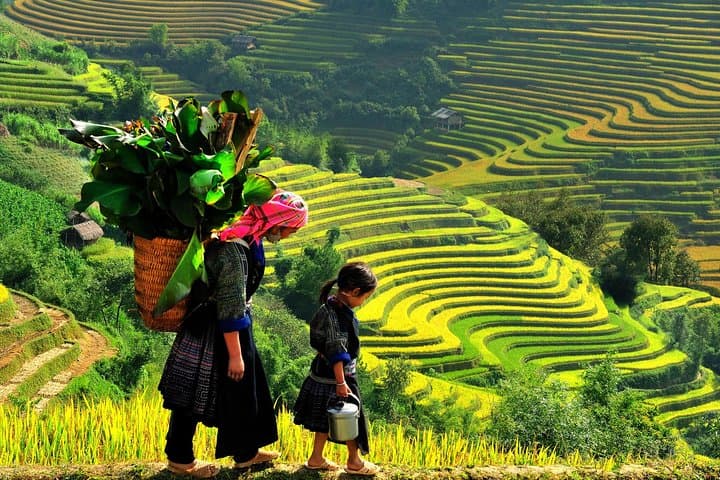 Sapa Two-Day Valley Trek & Overnight in Tavan Village with Mountain View photo 2