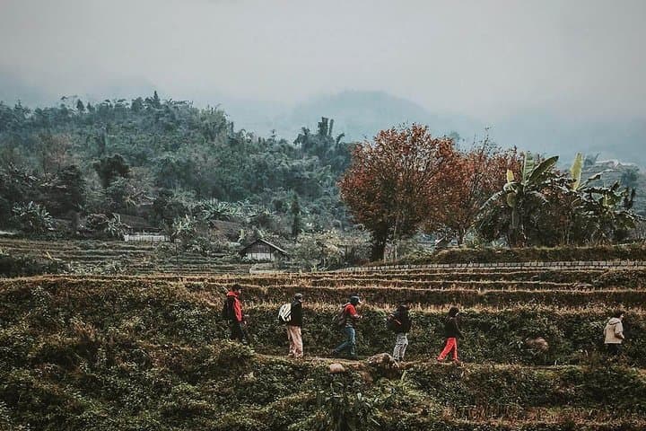 Sapa Two-Day Valley Trek & Overnight in Tavan Village with Mountain View photo 6