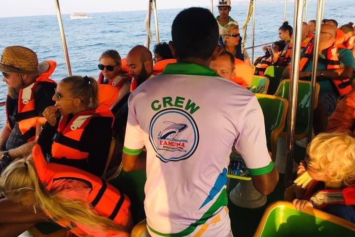 Mirissa Blue Whale & Dolphin Luxury Cruise — Mirissa Whale Watching Experience photo 4