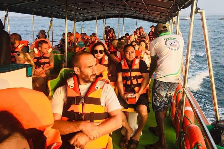 Mirissa Blue Whale & Dolphin Luxury Cruise — Mirissa Whale Watching Experience photo 5