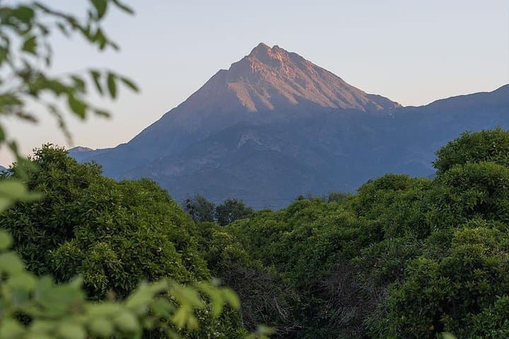 Darwin's Route — La Campana Palm Forest Hike from Santiago photo 6