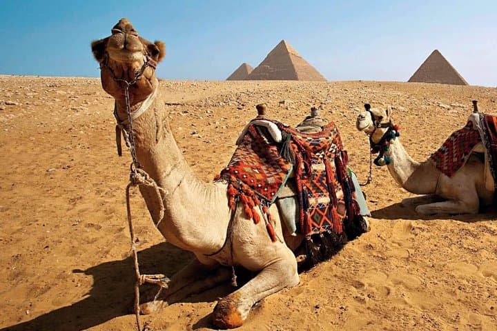Sunset Camel Ride & Bedouin Barbecue at Giza Pyramids photo 3