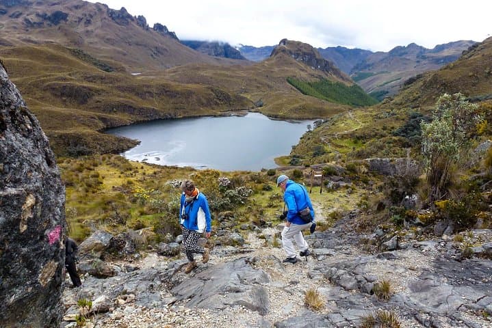 Full-Day Cajas National Park Tour from Cuenca — Lakes, Paramo & Polylepis Trails photo 6
