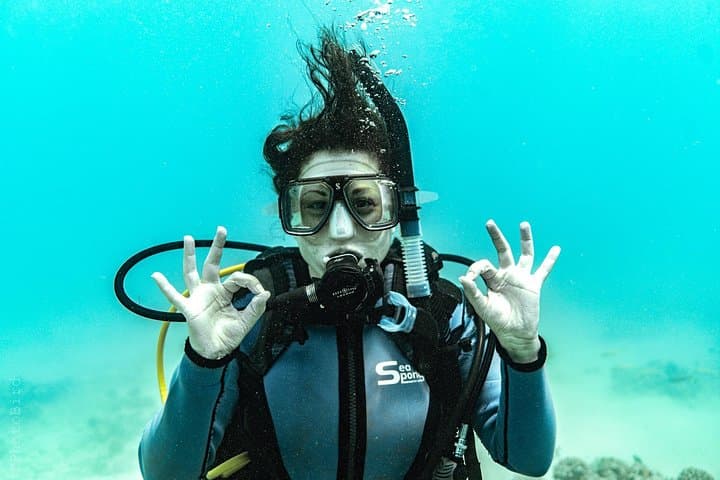 Private Two-Tank SCUBA Charter from Waikiki — Wreck & Reef Dives photo 3