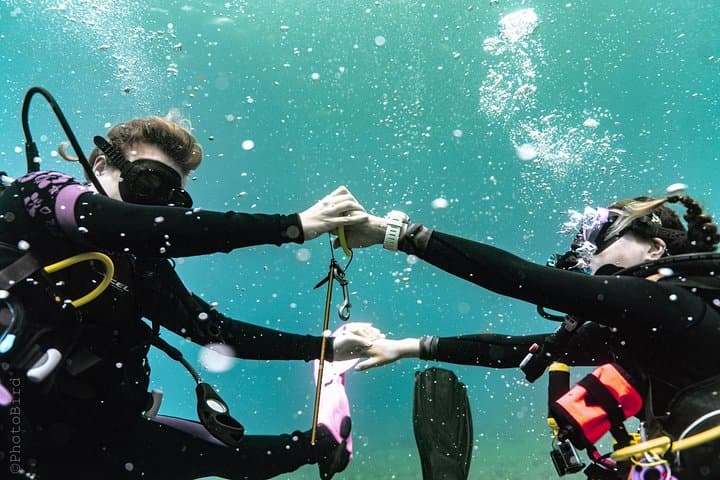 Private Two-Tank SCUBA Charter from Waikiki — Wreck & Reef Dives