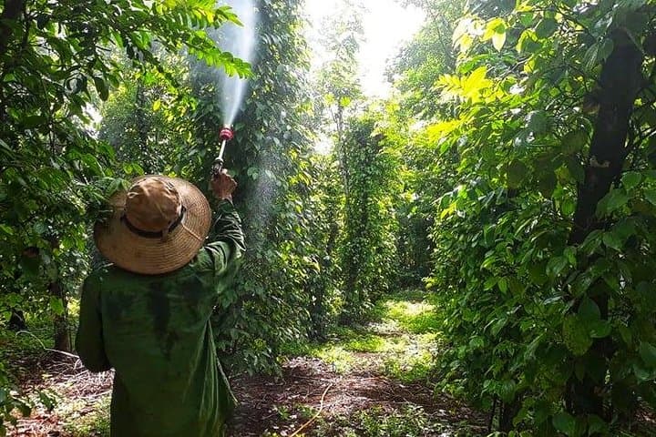 Cooking, Farming & Dray Nur Waterfall Day Tour from Buon Ma Thuot