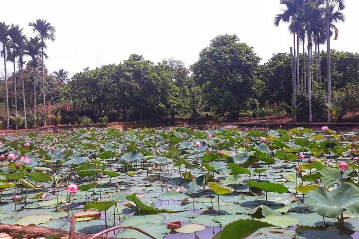 Cooking, Farming & Dray Nur Waterfall Day Tour from Buon Ma Thuot photo 3