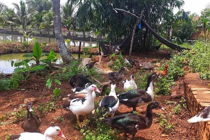 Cooking, Farming & Dray Nur Waterfall Day Tour from Buon Ma Thuot photo 5