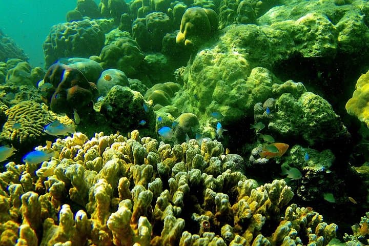 Private Surin Islands Longtail Boat Tour — Snorkel Pristine Reefs & Moken Village photo 2