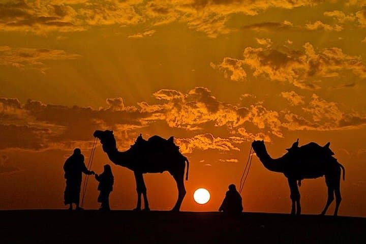 Overnight Camel Safari in Pushkar — Camp the Thar Desert with Rajasthani Music and Dinner