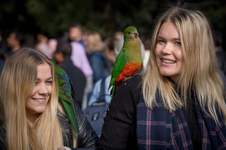 Great Ocean Road and Grampians 2-Day Escape from Melbourne photo 5