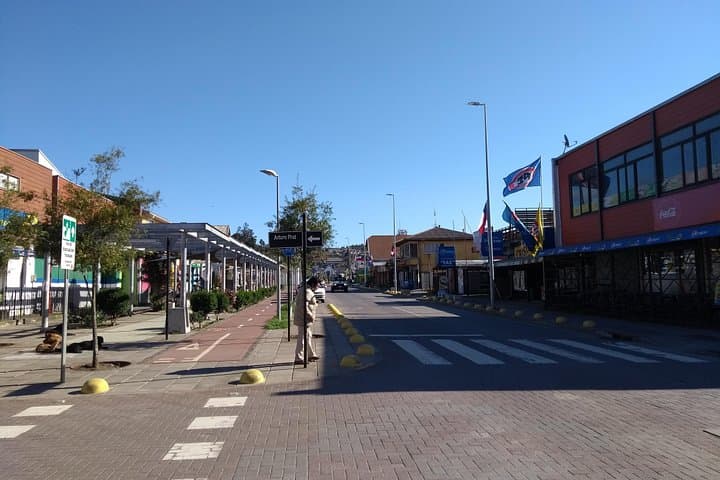 Coastal Towns of Tomé & Dichato: A Day Tour from Concepción photo 4