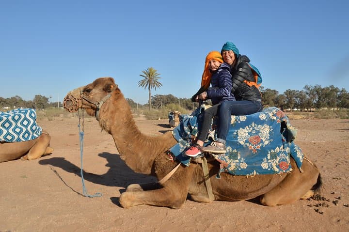Agadir Camel Ride & Argan-Couscous Experience with Hotel Transfer photo 6