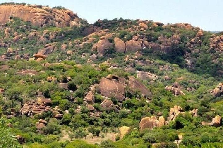 Matopos Park Rhino Tracking & Day Game Drive from Bulawayo photo 5