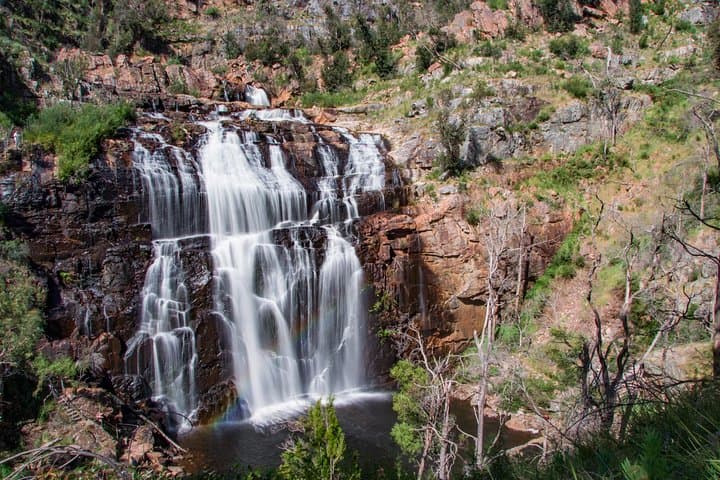 Great Ocean Road to Grampians: 2-Day Coastal & Mountain Tour from Melbourne to Adelaide photo 3