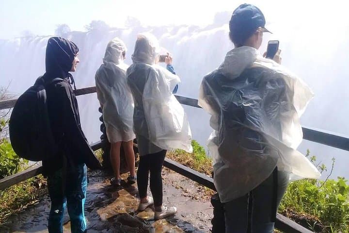 Victoria Falls Day Trip from Kasane — Mosi-oa-Tunya Full-Day Excursion photo 3