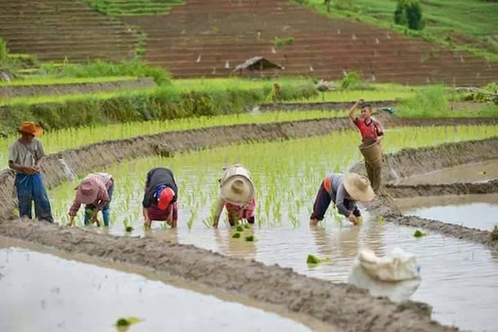 Doi Inthanon Summit: 2-Hour Trek to Kew Mae Pan or Pha Dok Siew with Lunch photo 4