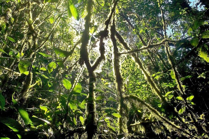Sierra Nevada Native Expedition: 4-Day Waterfalls Trek from Santa Marta photo 3