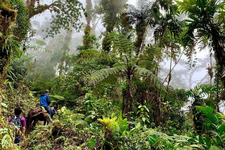 Sierra Nevada Native Expedition: 4-Day Waterfalls Trek from Santa Marta photo 2