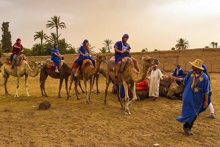 Palmeraie Camel Ride: Marrakech Camel Trek & Mint Tea Experience