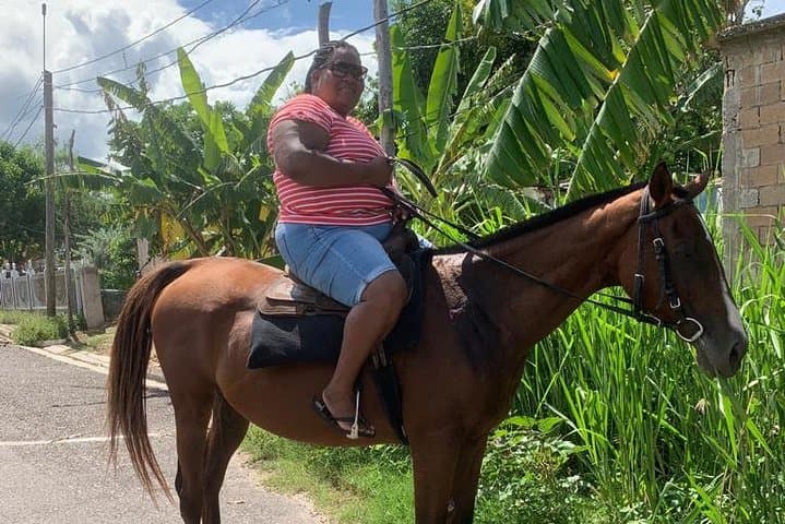 Ride and Swim with Horses on Runaway Bay's Shores photo 2