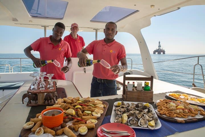 Marine Dolphin & Seal Cruise from Walvis Bay: Pelican Point Wildlife Excursion photo 3